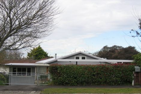 Photo of property in 15f Edgecumbe Street, Whitiora, Hamilton, 3200