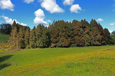 Photo of property in 11 Mangakino Road, Raglan, 3295