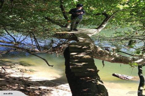 Photo of property in 57a Alpers Ridge, Leamington, Cambridge, 3432