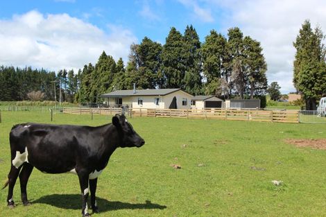 Photo of property in 18 Jens Andersen Road, Norsewood, 4974