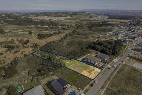 Photo of property in 32 Michael Bosher Way, Flat Bush, Auckland, 2019