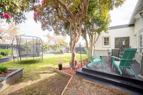 Photo of property in 10 Manson Street, Terrace End, Palmerston North, 4410