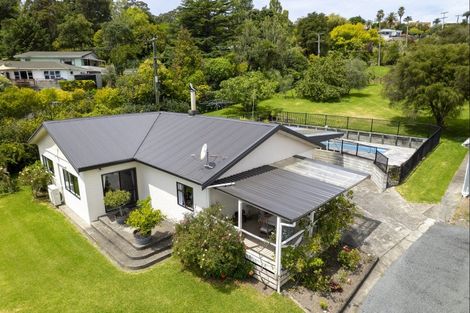 Photo of property in 51 Winter Street, Mangapapa, Gisborne, 4010