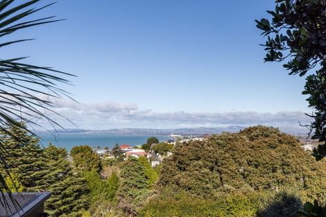 Photo of property in 16 Lighthouse Road, Bluff Hill, Napier, 4110