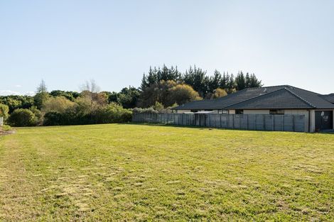 Photo of property in 254 Hollister Lane, Ohauiti, Tauranga, 3112