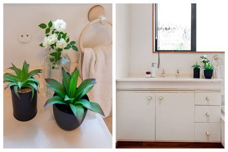 Photo of property in 148 Edgecumbe Road, Tauranga South, Tauranga, 3112