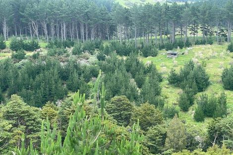 Photo of property in 609a Bickerstaffe Road, Maungaturoto, 0587