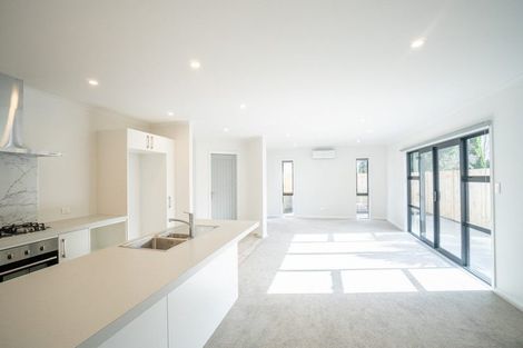 Photo of property in 19a Leeds Street, Milson, Palmerston North, 4414