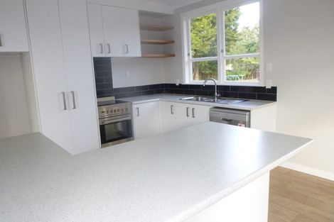 Photo of property in 60 Wakeman Street, Pahiatua, 4910