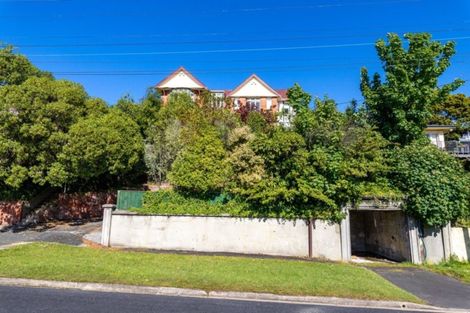 Photo of property in 100 Norfolk Street, Saint Clair, Dunedin, 9012