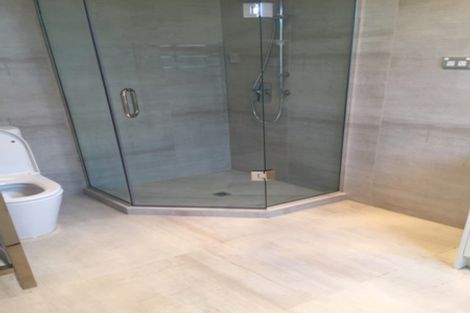 Photo of property in 30 Tir Conaill Avenue, Flat Bush, Auckland, 2019