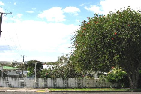 Photo of property in 60 Willerton Avenue, New Lynn, Auckland, 0600