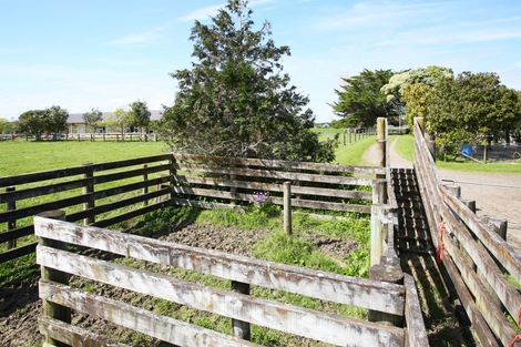 Photo of property in 86 Saddleton Road, Clarks Beach, Pukekohe, 2679