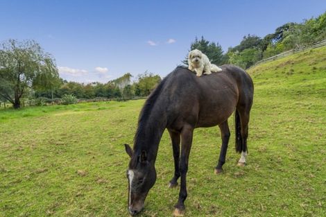 Photo of property in 81b Kaimarama Road, Kaimarama, Whitianga, 3591