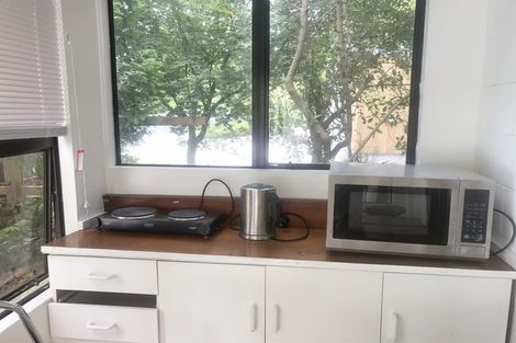 Photo of property in 55 Aurora Terrace, Hillcrest, Hamilton, 3216