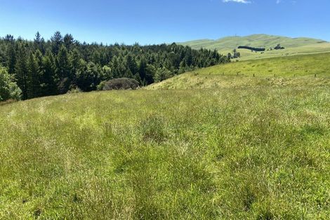 Photo of property in 490 Bluff Rangitumau Road, Rangitumau, Masterton, 5871