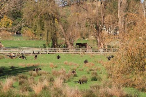 Photo of property in 62 Delhi Avenue, Aramoho, Whanganui, 4500