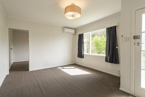 Photo of property in 3/16 Farnham Street, Mornington, Wellington, 6021