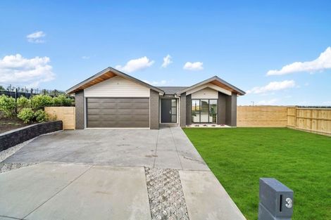 Photo of property in 3 Captain Rings Drive, Papakura, 2110