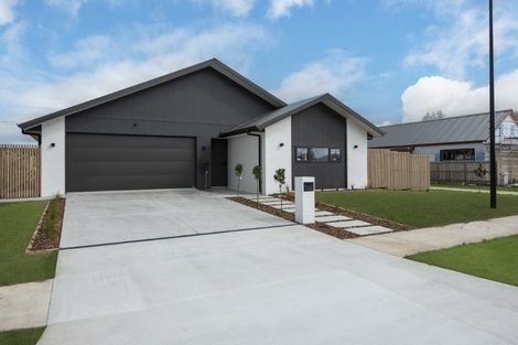 Photo of property in 23 Whakahaumako Road, Leamington, 3495