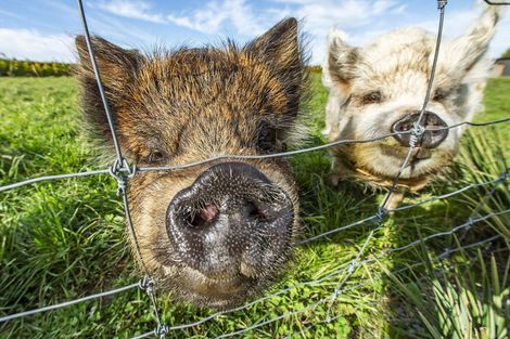 Photo of property in 756 Ridgens Road, Charing Cross, Christchurch, 7671