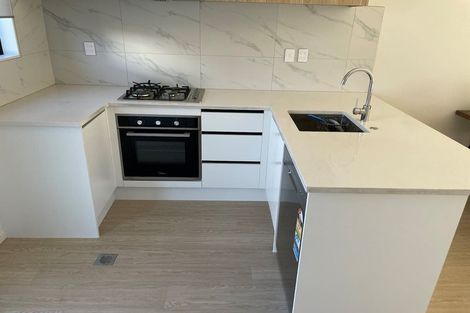 Photo of property in 17 Treeline Lane, Flat Bush, Auckland, 2019