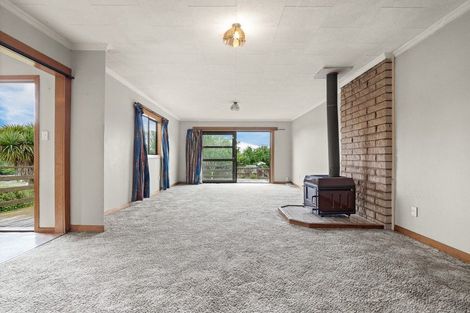 Photo of property in 24 Kirkwall Street, Palmerston, 9430