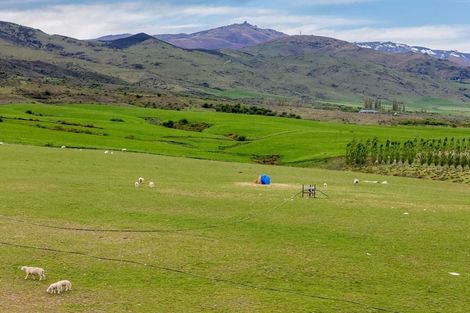 Photo of property in 39 Kordia Way, Waikerikeri, Alexandra, 9391