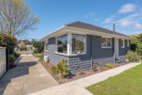 Photo of property in 19 Eglinton Street, Avondale, Christchurch, 8061