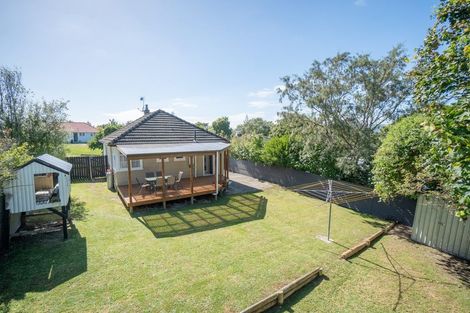 Photo of property in 48 Upham Terrace, Roslyn, Palmerston North, 4414