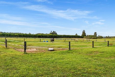 Photo of property in 1235 Omanawa Road, Omanawa, Tauranga, 3171