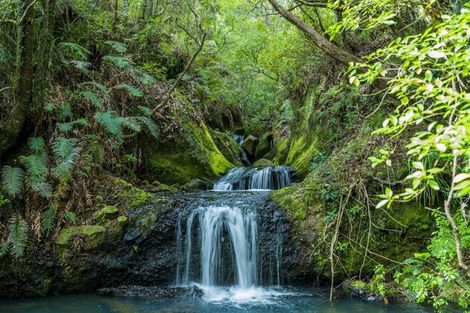 Photo of property in 363 Mill Creek Road, Kaimarama, Whitianga, 3591