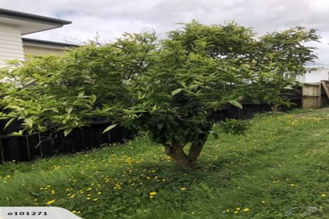 Photo of property in 3/4 Karaka Street, New Lynn, Auckland, 0600