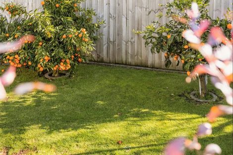 Photo of property in 21 Hastings Street, Te Puke, 3119