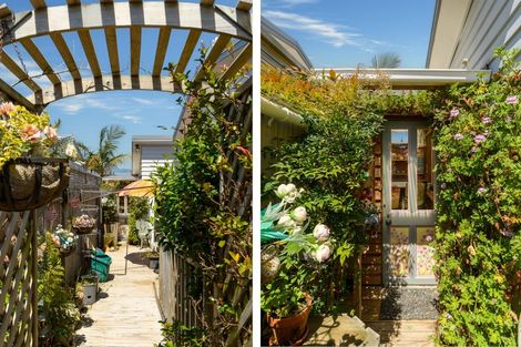 Photo of property in 11 Kamahi Crescent, Papamoa Beach, Papamoa, 3118