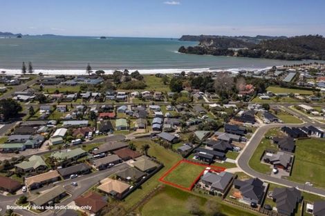 Photo of property in 39 Palm Drive, Whitianga, 3510