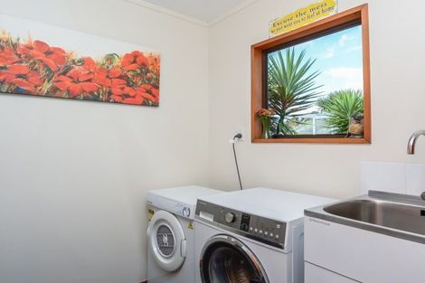 Photo of property in 22 Mcmeekan Avenue, Chartwell, Hamilton, 3210