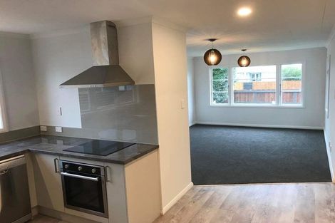 Photo of property in 14 Kingston Street, Awapuni, Palmerston North, 4412