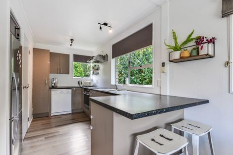 Photo of property in 13 Casper Street, Fairfield, Hamilton, 3214