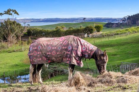 Photo of property in 215 Oyster Point Road, Kaukapakapa, Warkworth, 0984