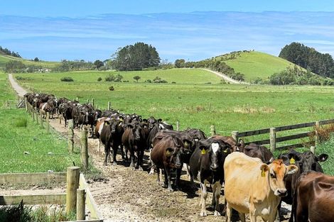 Photo of property in 72 Pilling Road, Tomarata, Wellsford, 0974