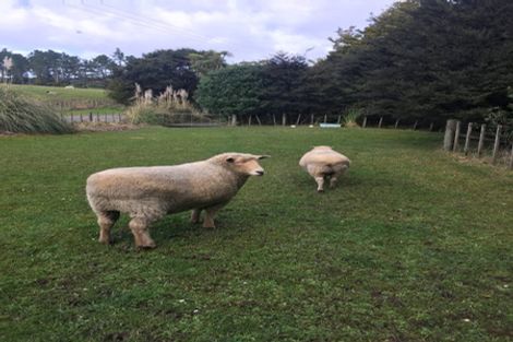 Photo of property in 114 Hamilton Road, Warkworth, 0982