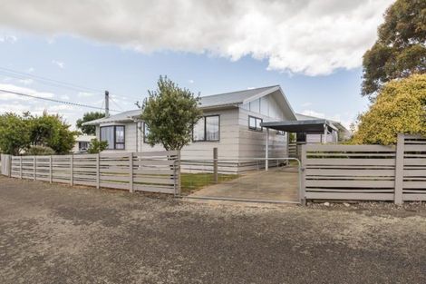 Photo of property in 9 Douglas Street, Levin, 5510