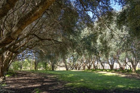 Photo of property in 46 Mahanga Road, Pataua South, Parua Bay, 0192