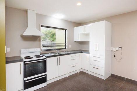 Photo of property in 333c Featherston Street, Palmerston North, 4414