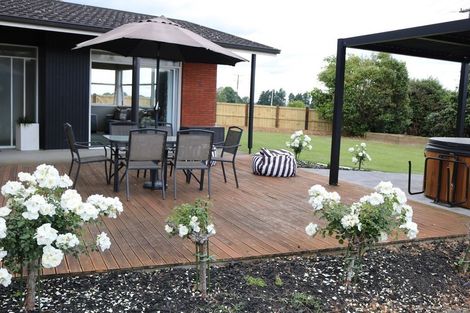 Photo of property in 1123 Paterangi Road, Te Awamutu, Ohaupo, 3883