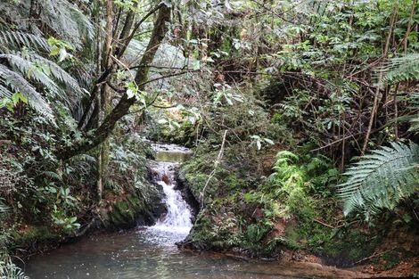 Photo of property in 206 Nelson Road, Hukerenui, Hikurangi, 0182