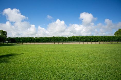 Photo of property in 1/31 Forrest Road, Cambridge, 3493