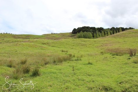 Photo of property in 215c Heatley Road, Whakapirau, 0583