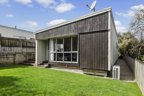 Photo of property in 17b Carey Street, Maeroa, Hamilton, 3200